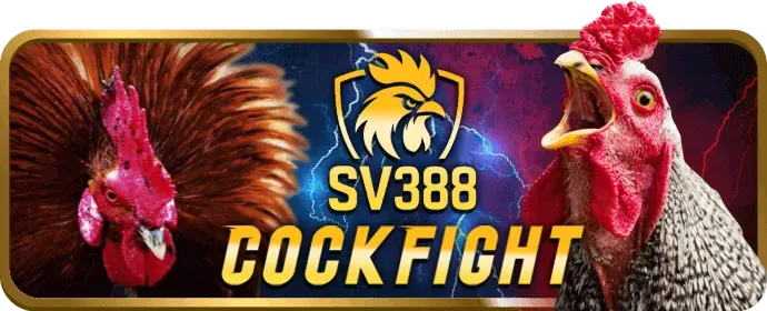 Lý do chọn Gee88